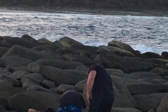 crabs