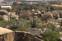 aruba_rocks10