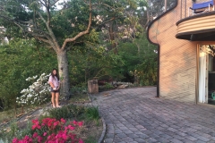 cabin-grounds
