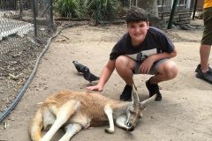 seb-kangaroo