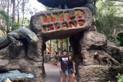 wild-island