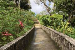 dom_8_PATH