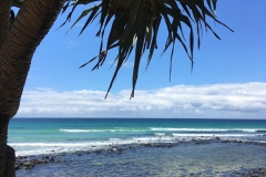 gold-coast