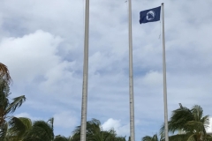 flags