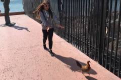 lexi-wildlife