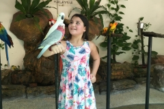 lexi-birds