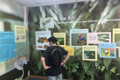 the-bill