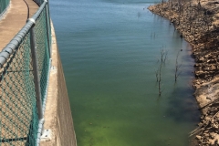 dam6