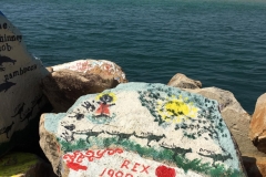 vwallcancer