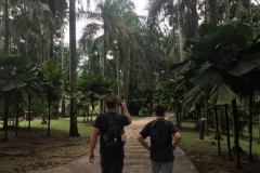 walking-the-path