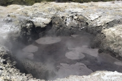 bubbling-mud