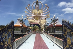 Guanyin with 18 arms, goddess of mercy & compassion