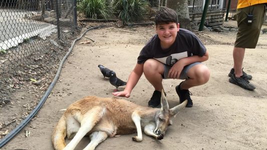Currumbin Wildlife Reserve