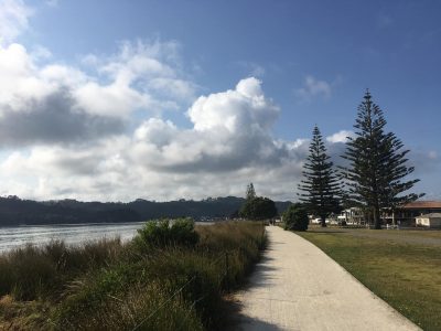 Morning Walk in Whitianga